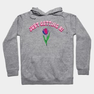 hi come with me im just getting bi Hoodie